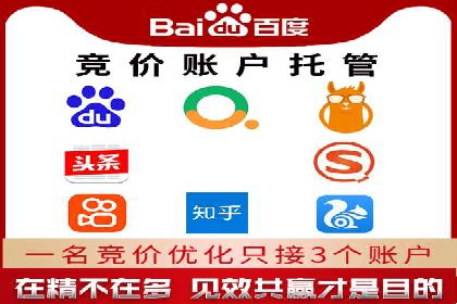 成功案例分享：SEM竞价代运营策略解析